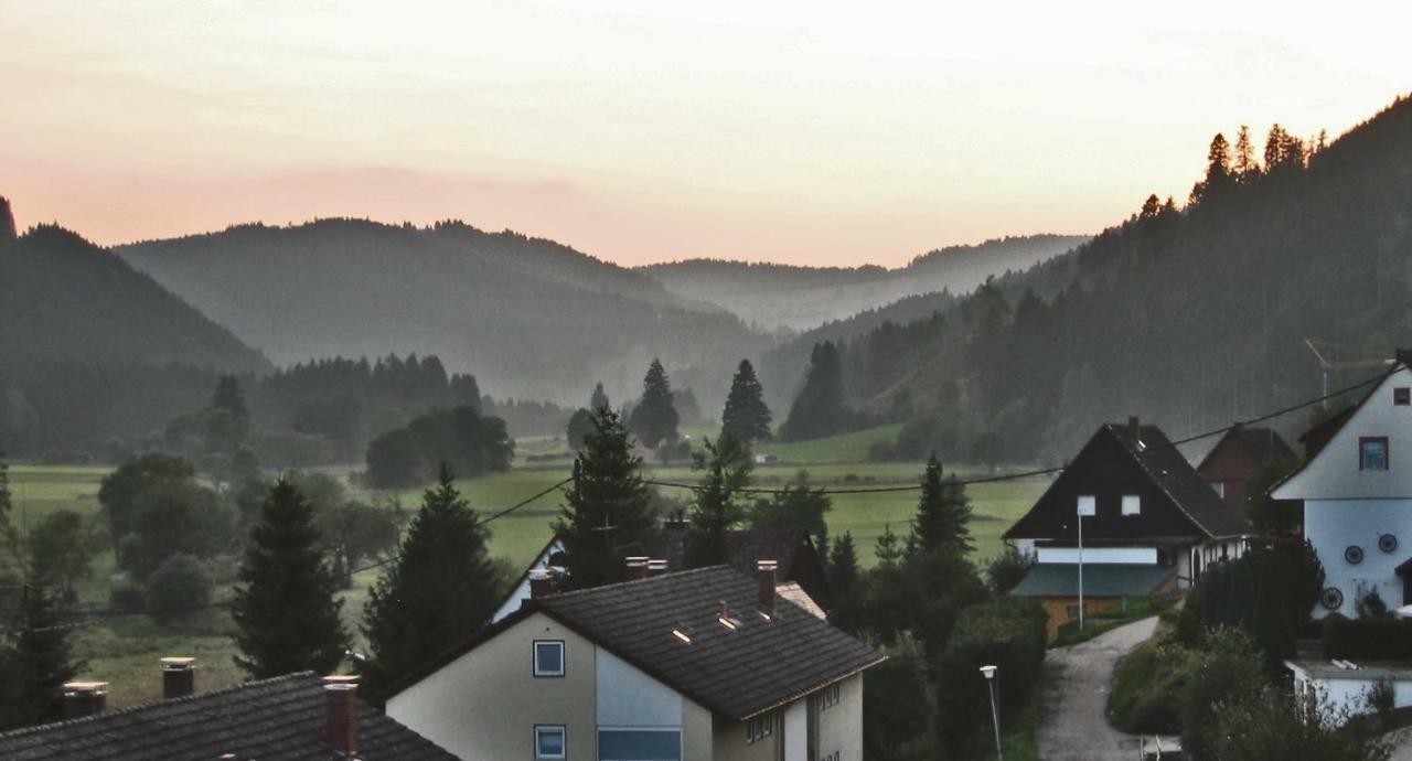 Urseetalblick Appartement Lenzkirch Buitenkant foto